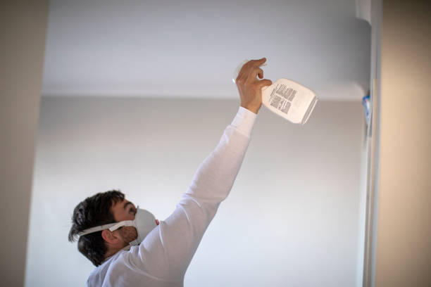Best Professional Mold Removal  in Clendenin, WV